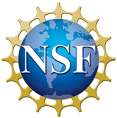 logo_NSF